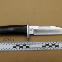 A photo of a black-handled hunting knife alongside a ruler, it is approximately 27cm in length